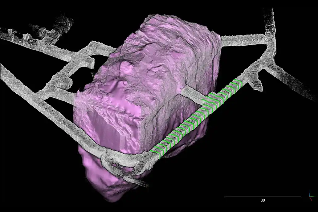 opmms - estrazioni di dati 3D
